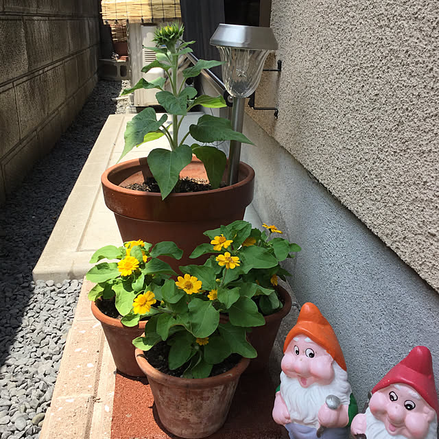 richanさんの実例写真