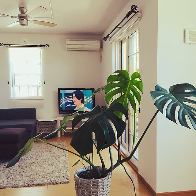 ko.comさんの実例写真