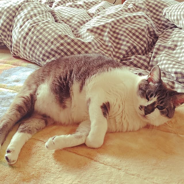 leeさんの実例写真