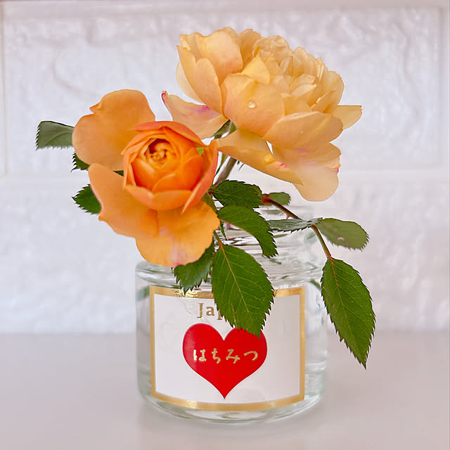 moolさんの実例写真