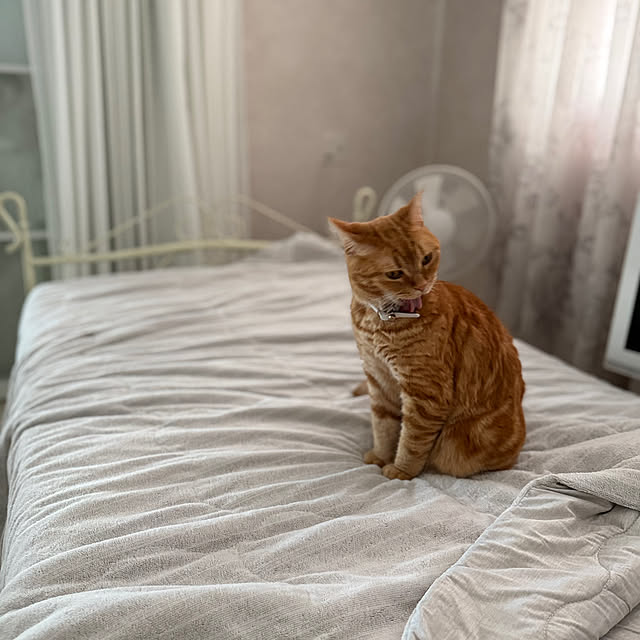 m623さんの実例写真