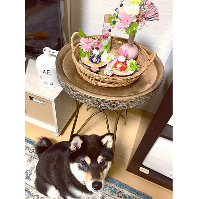 mo-nosukeさんの実例写真