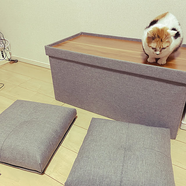 tonbiさんの実例写真