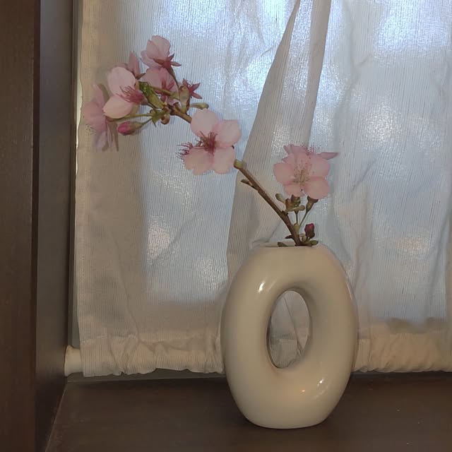 mska1114さんの実例写真
