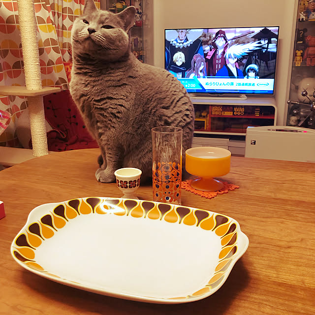ikettenさんの実例写真