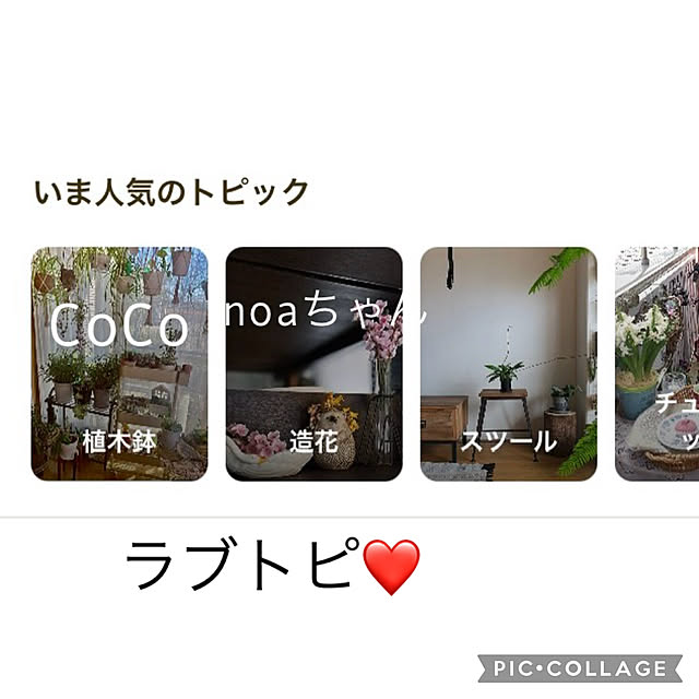 CoCo0617さんの実例写真