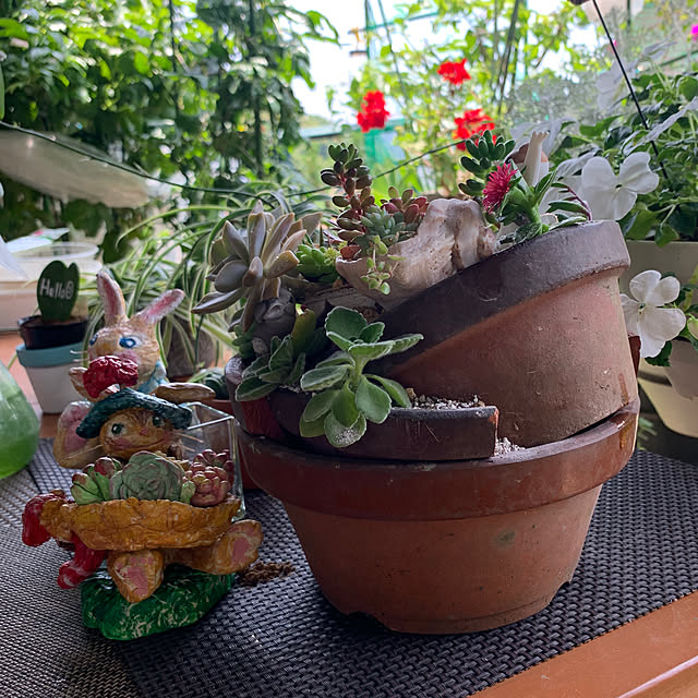 Aqettyさんの部屋