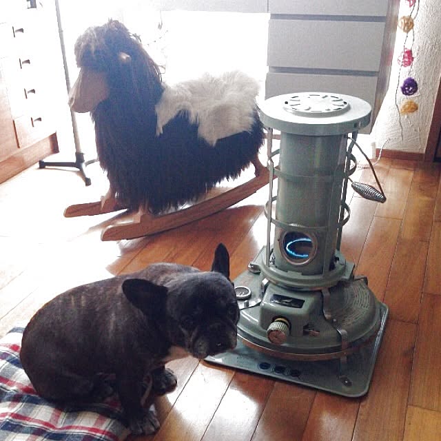 zymaさんの実例写真