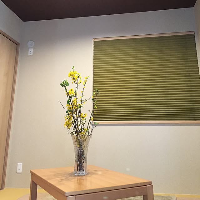 部屋全体/ブラインド/こたつ/花瓶/かりん...などのインテリア実例 - 2016-04-04 13:46:36