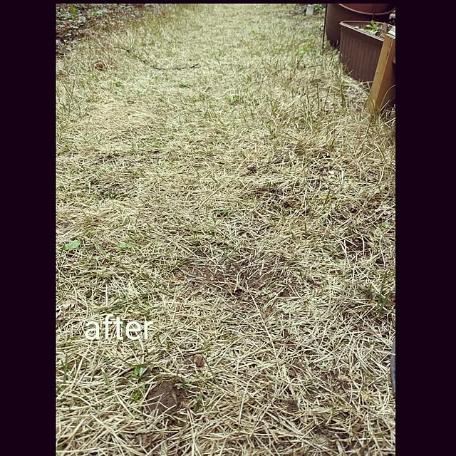 mofukoさんの部屋