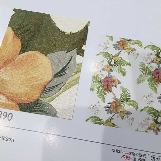 Sumieさんの実例写真
