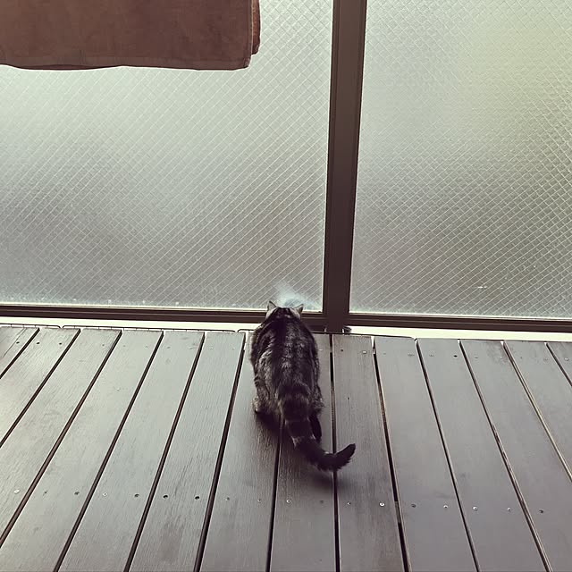 hiyupan88さんの実例写真
