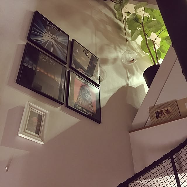 mikimoko38さんの実例写真
