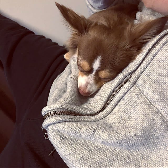 chocoさんの実例写真