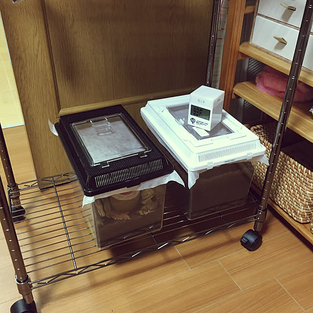 kodakaさんの実例写真
