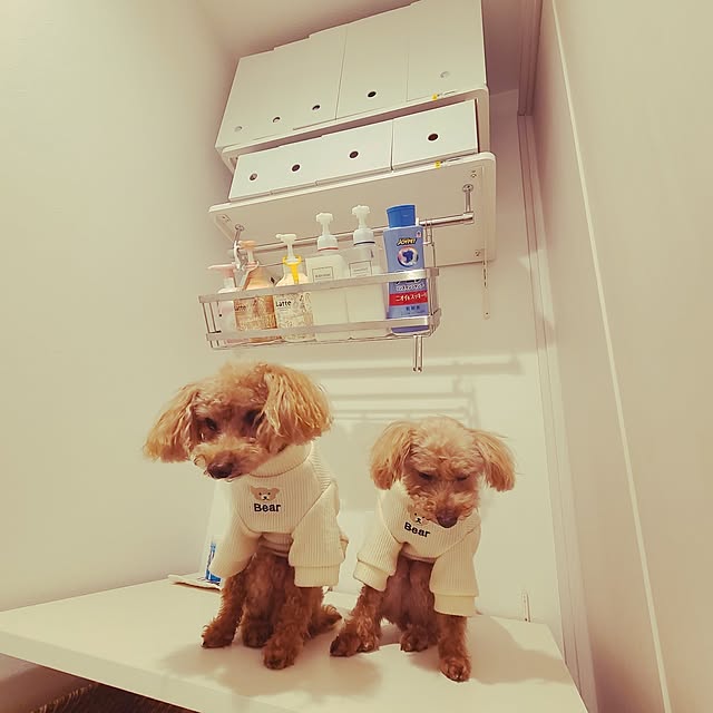 yumi.grandsaisonさんの部屋