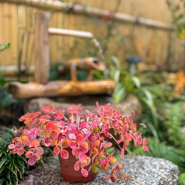 fawnさんの実例写真