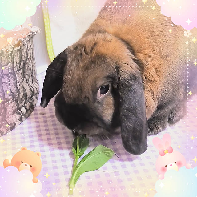 mariaさんの実例写真