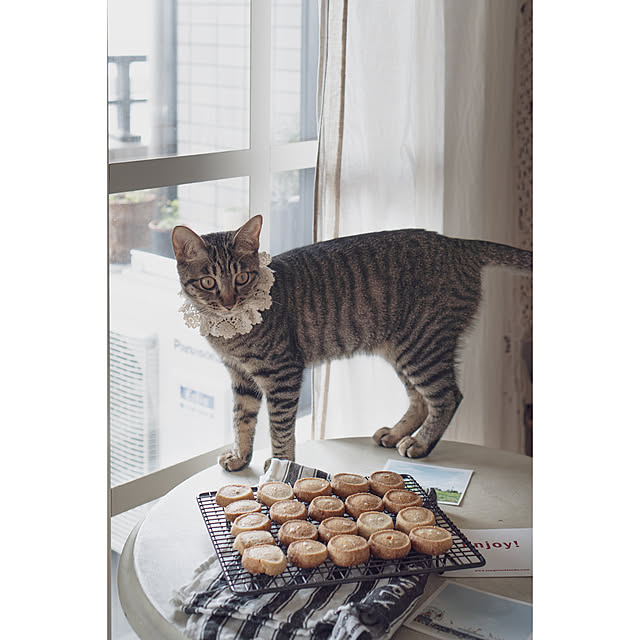 oliveさんの実例写真