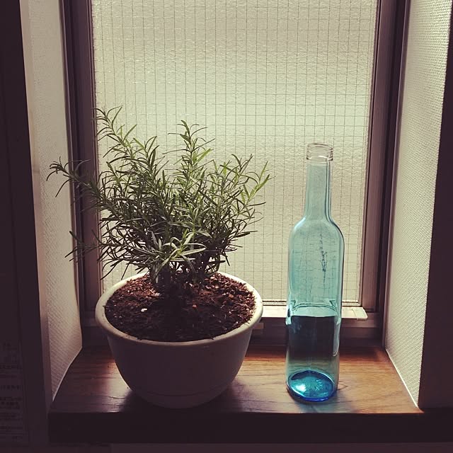 otukaresanさんの実例写真