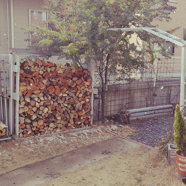 実例写真
