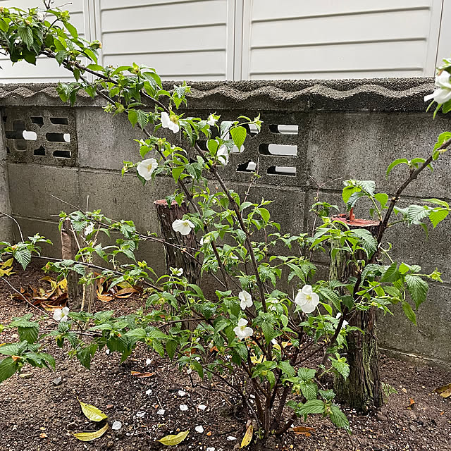 shin0719さんの部屋