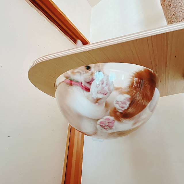 moolさんの部屋