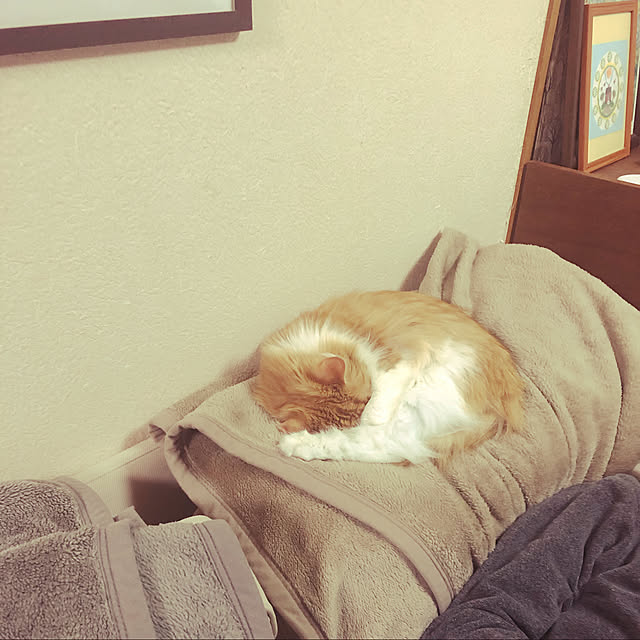 uchidaizuさんの実例写真