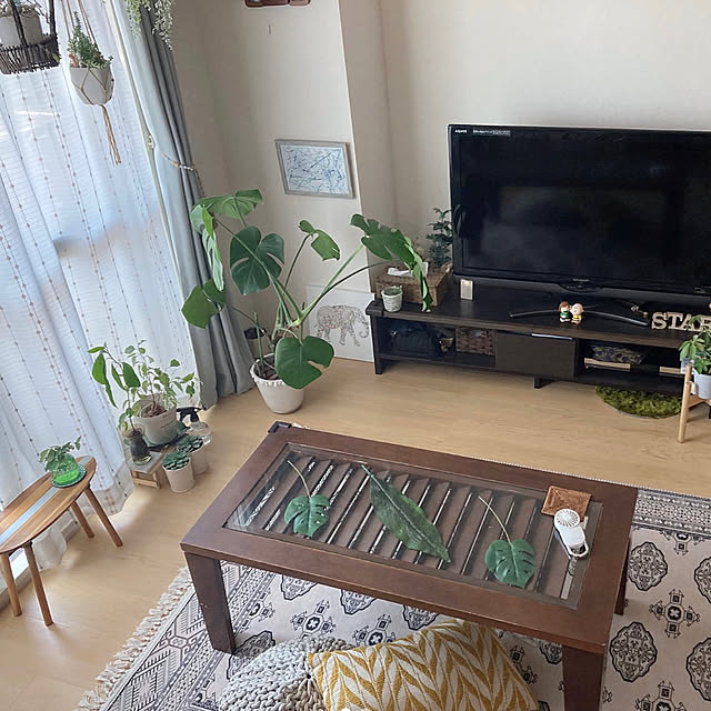 aiaiさんの部屋
