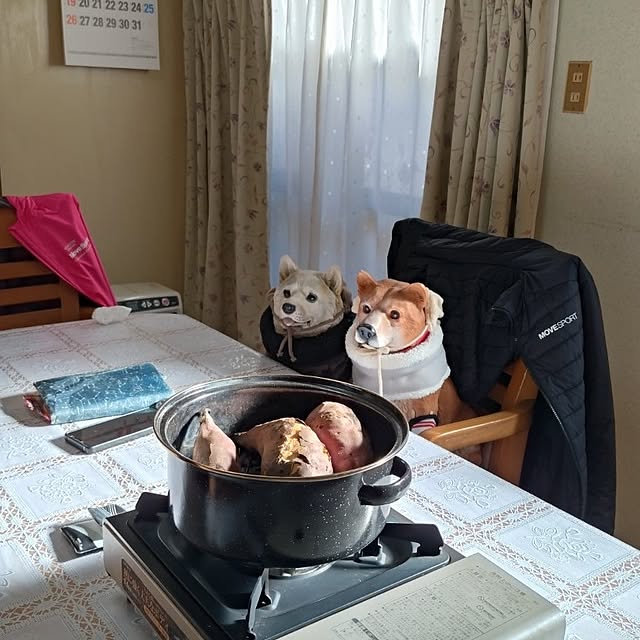 NOAHさんの部屋