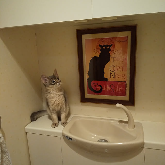 akeru.h0717さんの実例写真