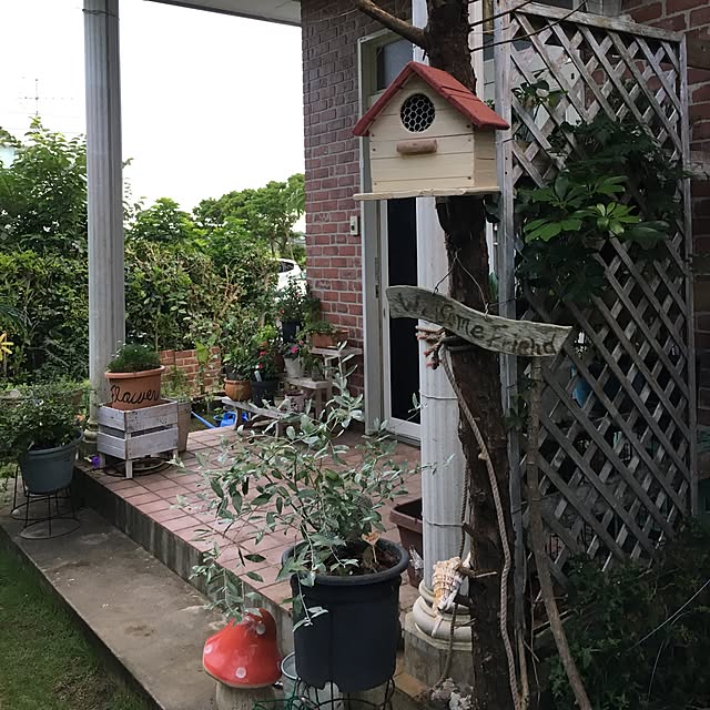 玄関/入り口/観葉植物/ダイソー/100均のインテリア実例 - 2017-06-29 18:49:12
