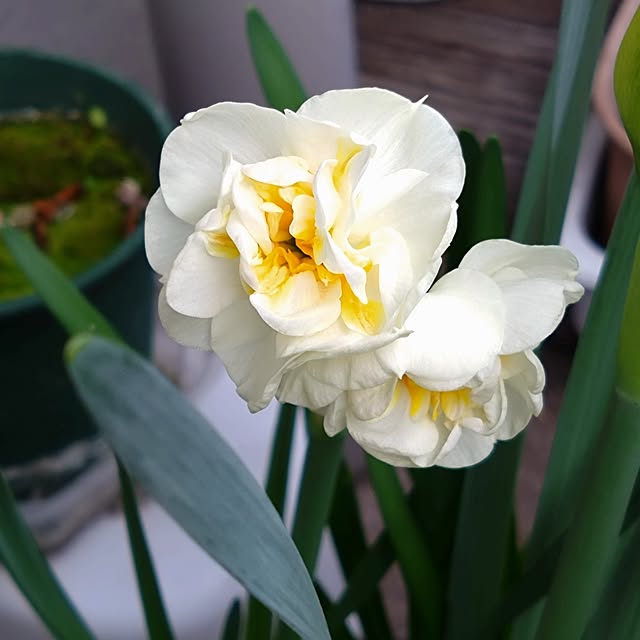 kakkaさんの部屋