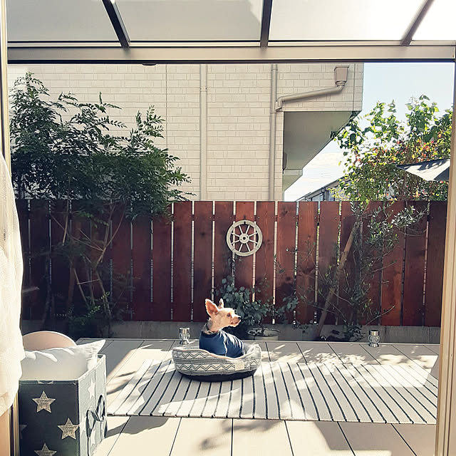 soaさんの実例写真