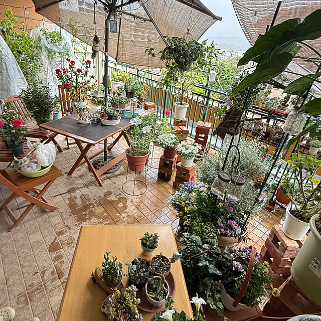 Aqettyさんの部屋