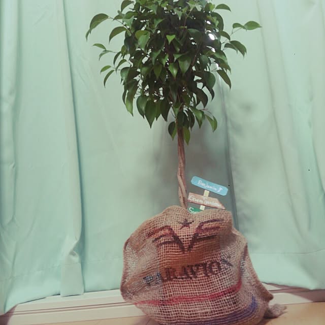 Chihiroさんの実例写真