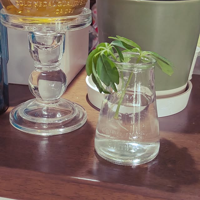 mi-saさんの部屋