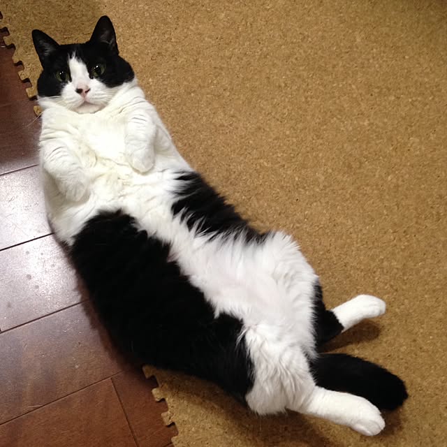 ttyさんの実例写真