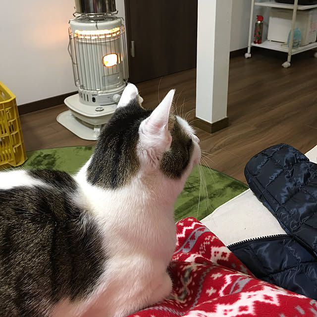 nyansさんの実例写真