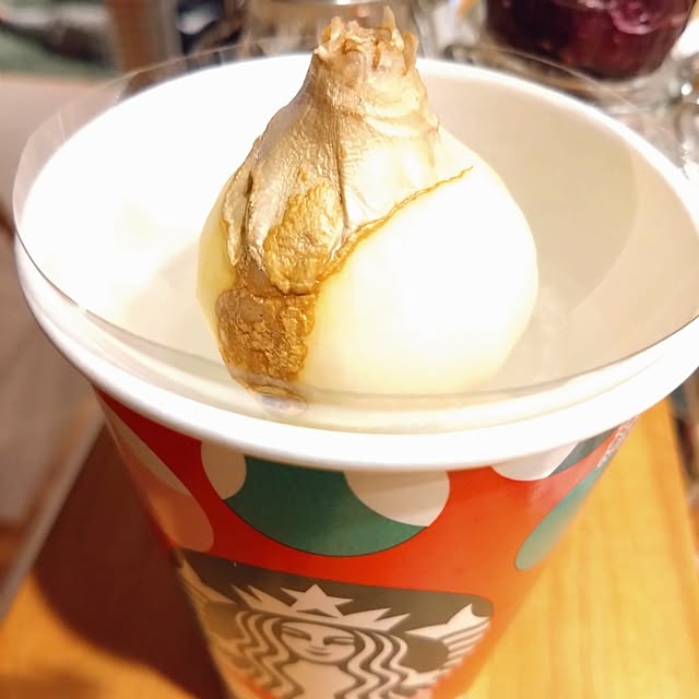 moco-chocoさんの部屋
