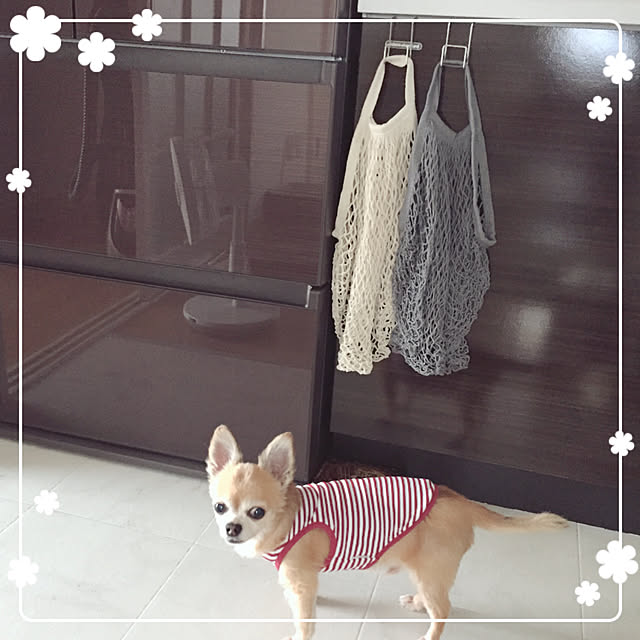Emiさんの実例写真