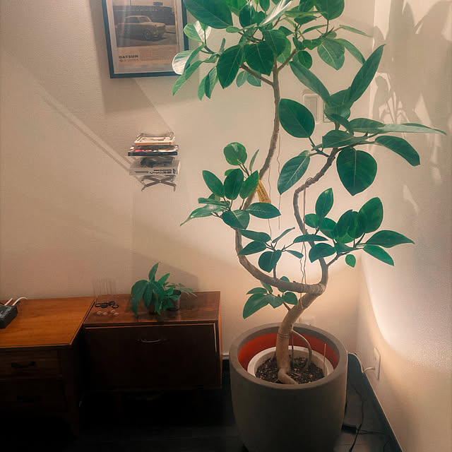 shingoさんの部屋