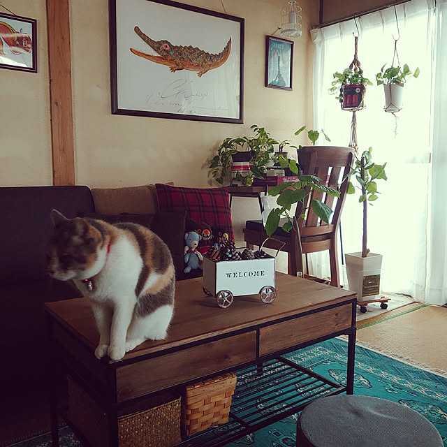 fukuさんの実例写真