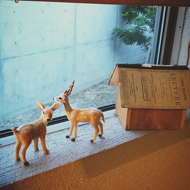 jamさんの実例写真