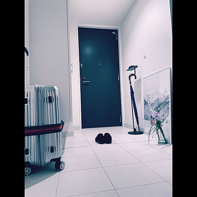 flysheepさんの実例写真