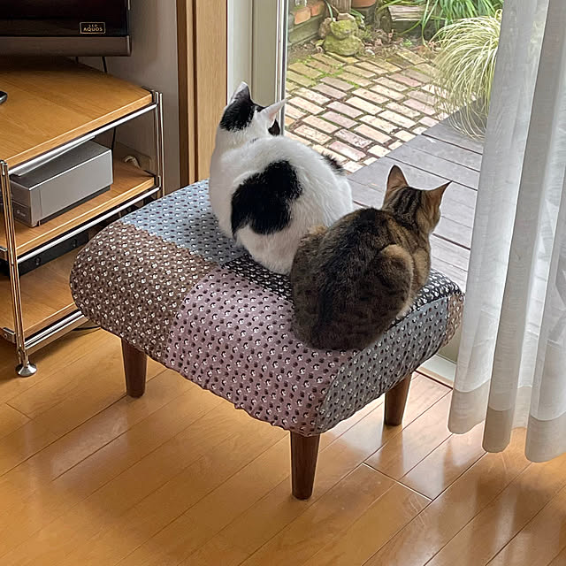 nobikoさんの部屋