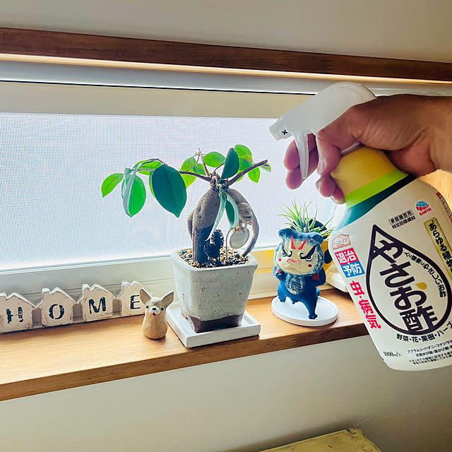 harumaruさんの実例写真