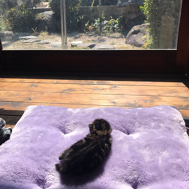 Uruさんの実例写真