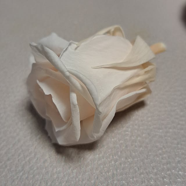 noaさんの部屋