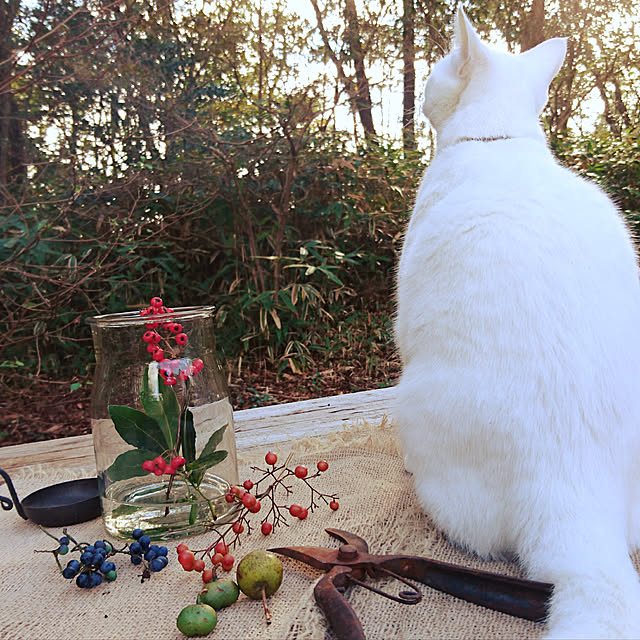 weさんの実例写真